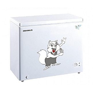 Skyrun Freezer 250L